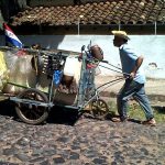 Vida reciclada.