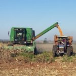 concepción _agricultura _ COSECHA (7)