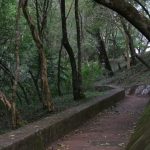 Puerto Ita Cajón – ruta yerba mate