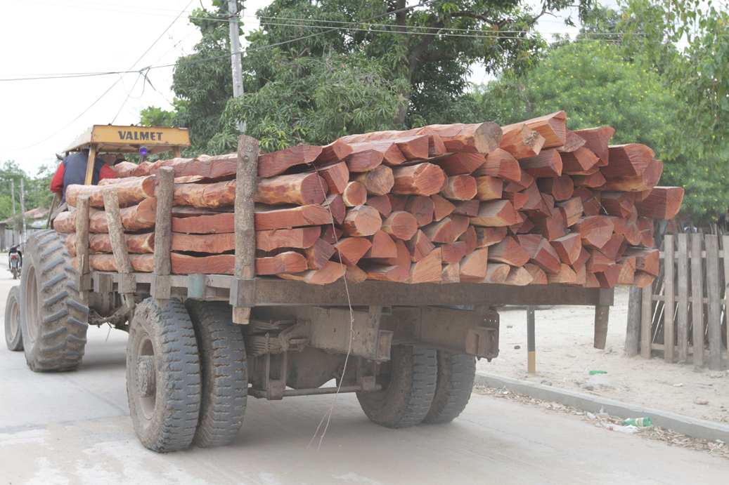 Madera de ip Madera de ip