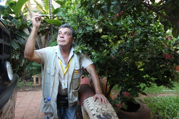 Limpiar en todo momento los patios y baldíos adoptar hábitos saludables de higiene para mantener bajos los índices de infestacción larvaria IP Paraguay