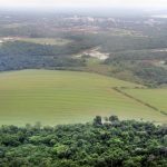 cultivo campo vista aerea