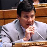 diputado Walter Harms