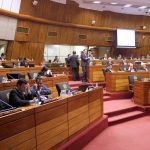 diputados_plenaria_sesion_nuevo