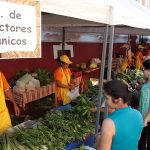 Indert – Feria – Productos