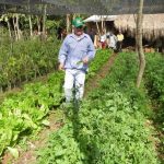 hortalizas  familiar  huerta AGRICULTURA