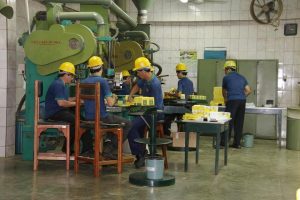 Visita a industrias yerbateras en el "Ka'a Rape"