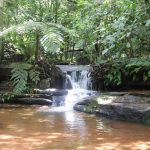 Cascada Madama