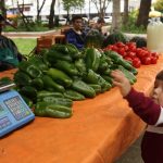 ferias agricultura productores  niño  verduras