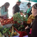 juan carloscomercializacion