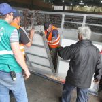 montaje de jaulas_envio de ganados_Ecuador 1 (1)
