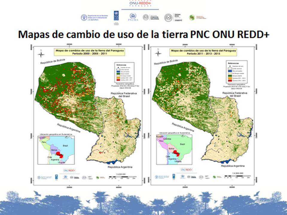 Paraguay pone a disposición en forma oficial datos de deforestación a