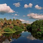 PANTANAL PARAGUAYO