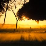 yluux-paisaje-paraguay-03