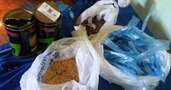 Semillas entregadas a los agricultores por el MAG Foto gentileza MAG