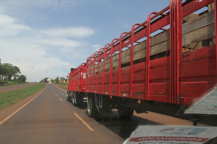 transporte-de-ganado_rutas_camiones