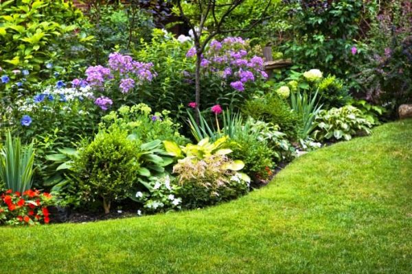 Foto gentileza (http://easyjardin.cl)