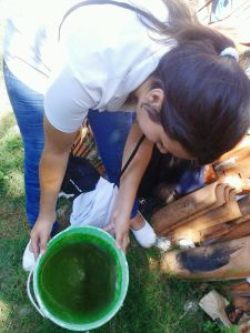 Hay que eliminar constantemente todo tipo de recipientes que puedan contener agua estancada Foto gentileza Salud Pública 