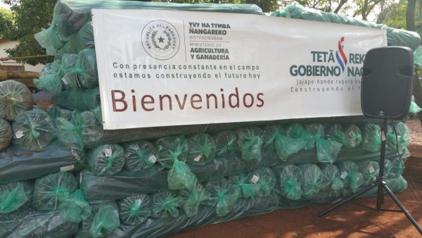 Parte de los insumos entregados a los agricultores Foto: MAG