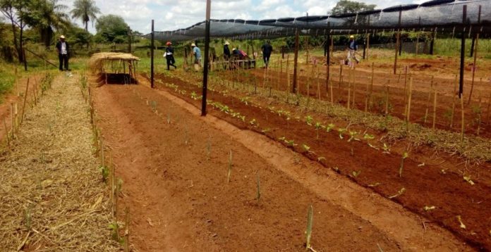 Horticultura Orgánica_Beneficiarios_cursos