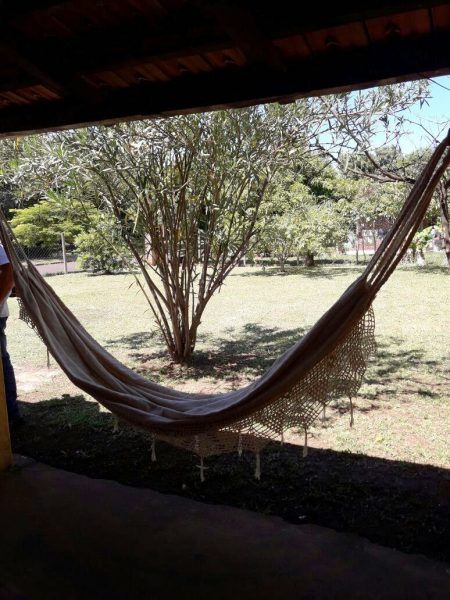 Foto: Gentileza