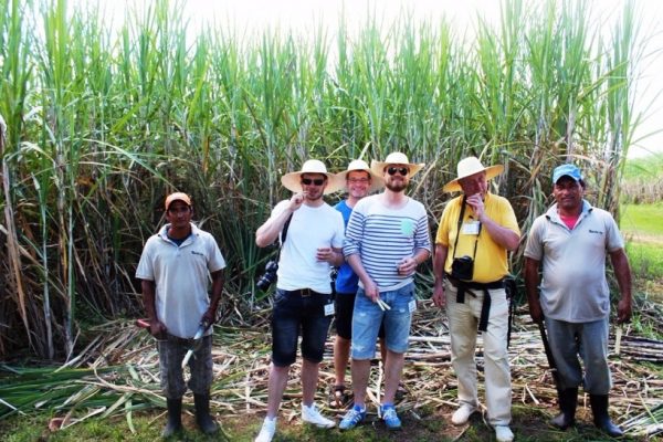 La ruta de la Caña será otro de los atractivos que serán presentados en la mayor feria de la industria del turismo Foto: Senatur