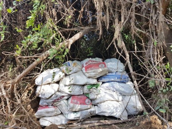 Las bolsas de drogas escondidas en las malezas Foto: Ministerio Público
