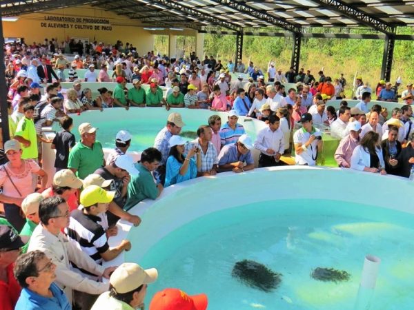 El lanzamiento del Programa se realizó en la ciudad de Eusebio Ayala Foto: MAG