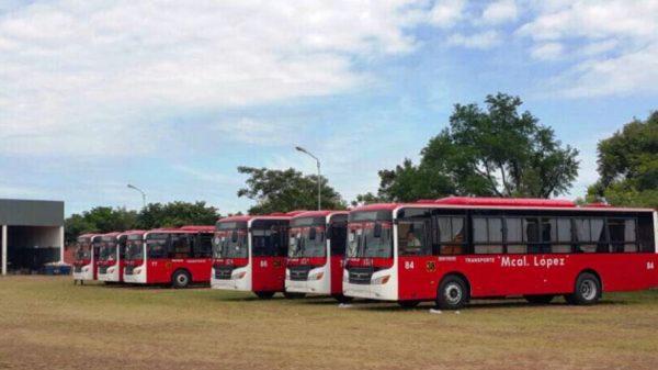 Los nuevos buses de la Empresa de Transporte Mariscal López S.R.L., que serán puestas en circulación desde este viernes Foto: MOPC