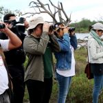 avistamiento-aves-chaco