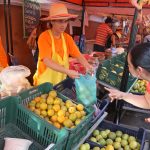 indert feria mayo madre (22)