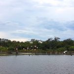 laguna-chaco-aves-avistamiento-1