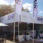 BNF