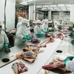 frigorifico guaraní 0