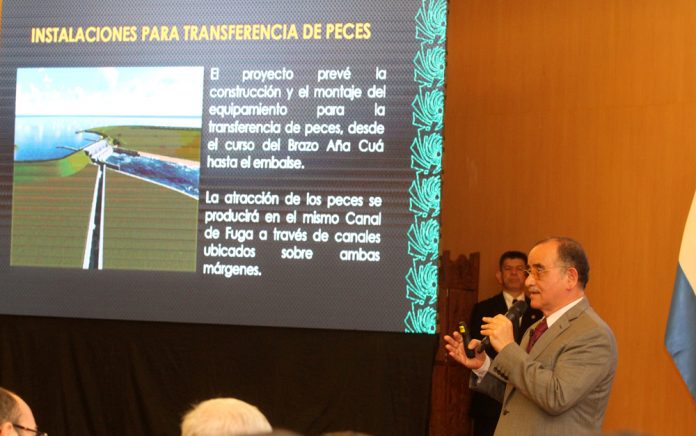 AÑACUA BRAZO MAQUINA (16)