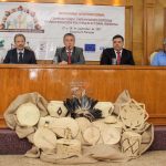 seminario internacional- comunidades indigenas