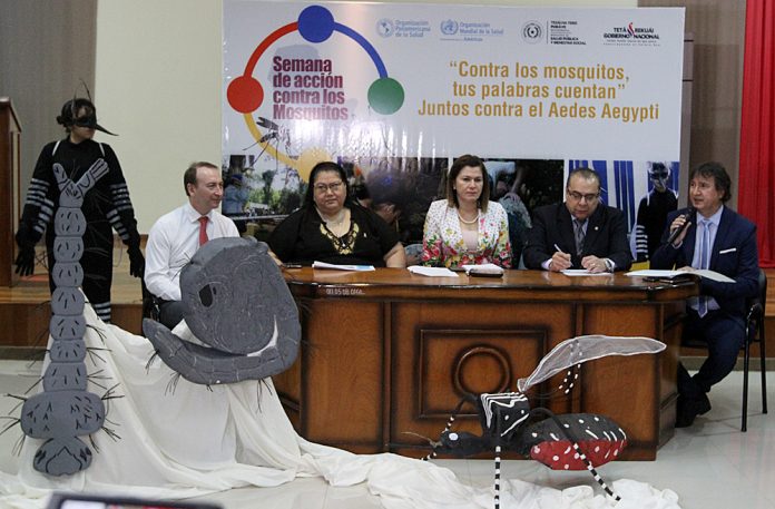 dengue senepa informe (8)