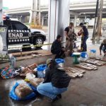 marihuana- Ciudad del Este- Senad- incautacion
