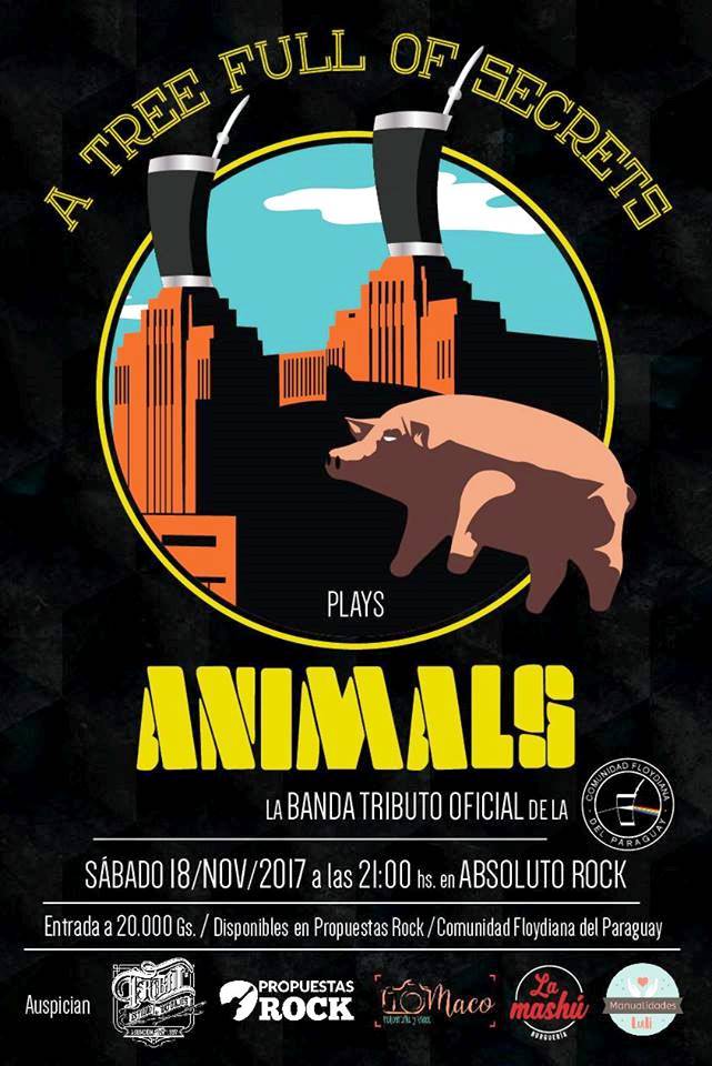 21151339_1423200194384063_7217112062532630976_n