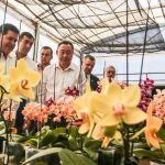 CAACUPE CARTES invernadero (16)