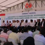 CAACUPE CARTES invernadero (19)