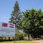 TAIWAN – PARAGUAY – ORQUIDEA (1)