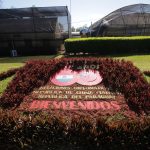 TAIWAN – PARAGUAY – ORQUIDEA (3)