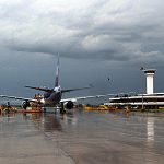 aeropuerto operaciones expotaciones ganado 23