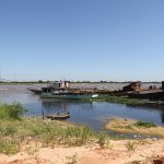 aves costanera (3)