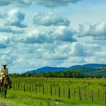 clima-soleado-campo-vista-nublado-caballo-