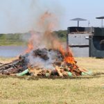 droga incinerada por Senad