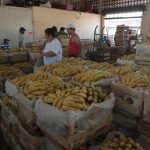 mercado verduras frutas tomate mercado naranjas (69)
