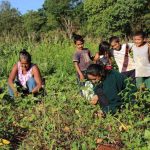 ñacunday MUJER familia rural campo