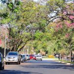 vista- clima- transito- calles- Asuncion- autos